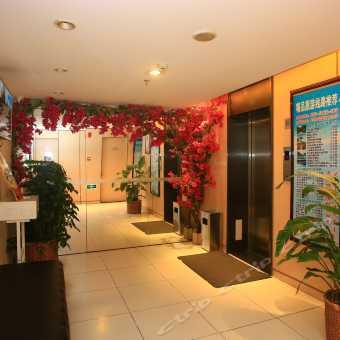 成都太古里明星网红店,明星店铺齐聚，潮流风向标揭秘