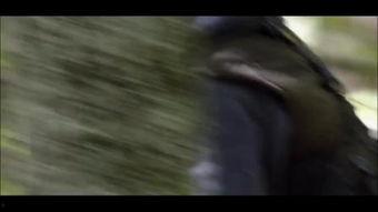 美景之屋电影完整版,穿越时光的浪漫邂逅