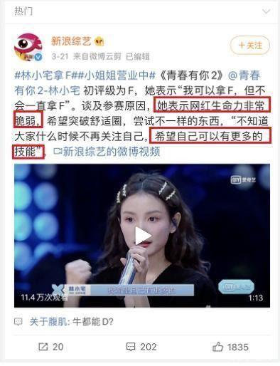 明星网红直播带货案例,明星网红带货案例深度解析