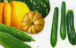 哪里吃热门瓜,哪里吃热门瓜，一网打尽全网热点