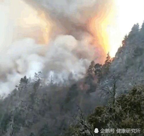 消防员与明星网红,守护与闪耀的融合之旅
