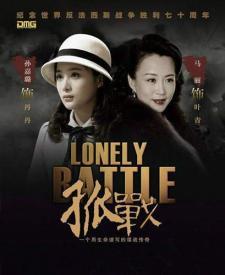 剧场电视剧,剧场电视剧的魅力之旅