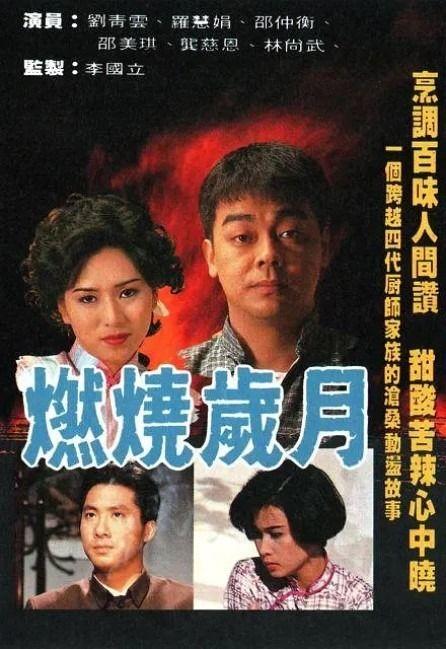电视剧燃烧,命运交织的火焰