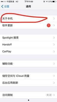 热门话题我的店名,打造我的店名新风尚