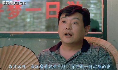 明星网红圆梦是谁啊