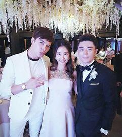 明星网红的婚礼叫什么,浪漫时刻见证爱情传奇