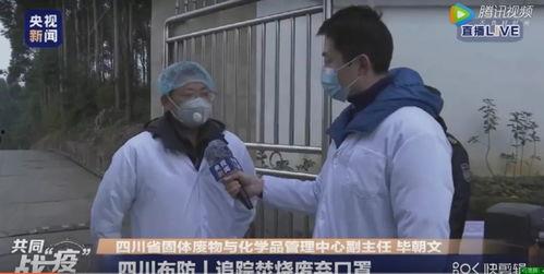 今日四川吃瓜新闻直播视频