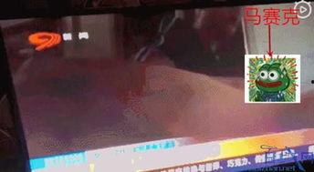 今日四川吃瓜新闻直播视频