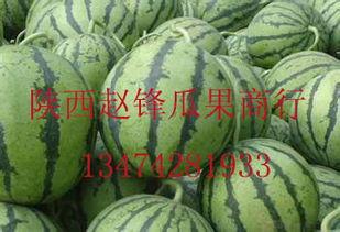 批发市场哈密瓜今日价格,“哈密瓜批发市场今日价格行情一览”