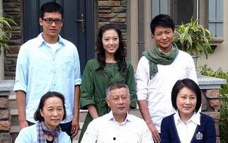 电视剧保姆,温情与挑战并存的家庭守护者