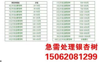 小吊瓜今日报价查询表,市场行情实时解析