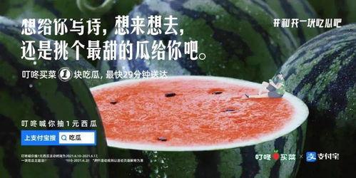 图文热门吃瓜文案,揭秘热门吃瓜文案背后的趣味与真相