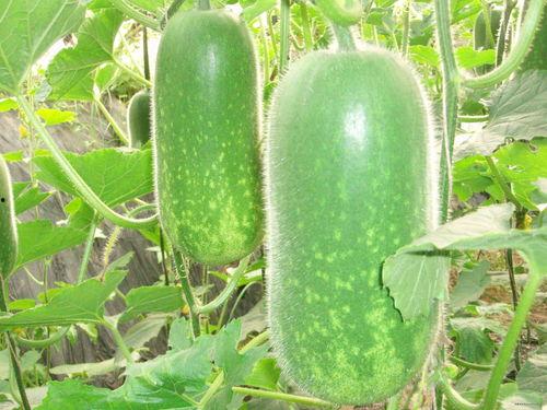 今日新鲜事大联盟富瓜,富瓜带你领略时事风云