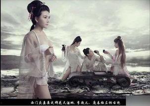 金萍梅电影,传奇家族的荣耀与挑战