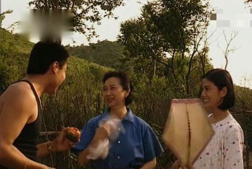 篱笆女人和狗电视剧,情感纠葛与时代变迁的农村生活画卷