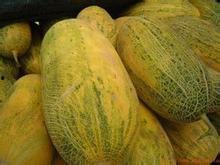 哈密瓜今日价格行情产地价,今日行情一览”