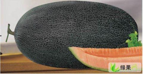 哈密瓜今日价格行情产地价,今日行情一览”