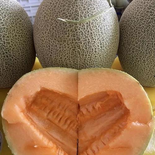 哈密瓜今日价格行情产地价,今日行情一览”