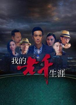 我的老千生涯电视剧