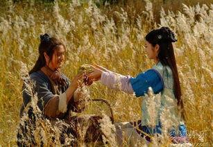 牛郎织女电视剧,跨越银河的浪漫传奇