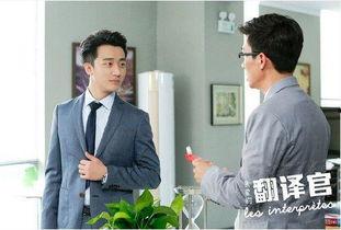翻译官电视剧,跨越语言的桥梁，演绎爱情与梦想的交响曲