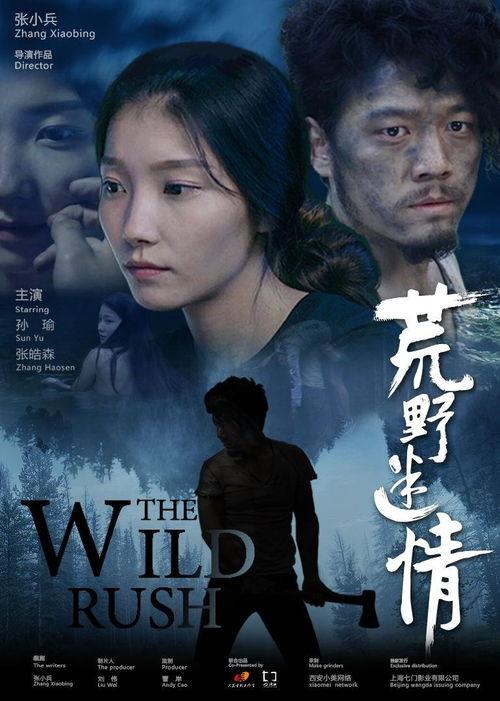 情迷电影,一部关于爱情与梦想的电影之旅