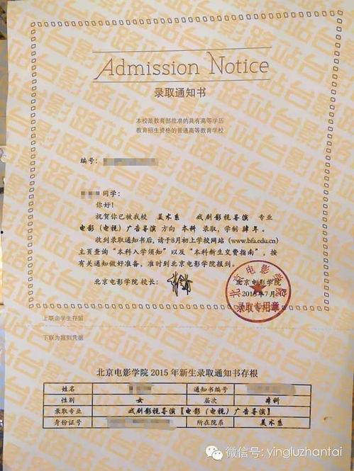 录取通知电影,梦想启航的青春篇章