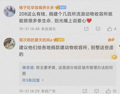 好多明星网红去明洞溯源,明洞溯源之旅，探寻韩国时尚之源