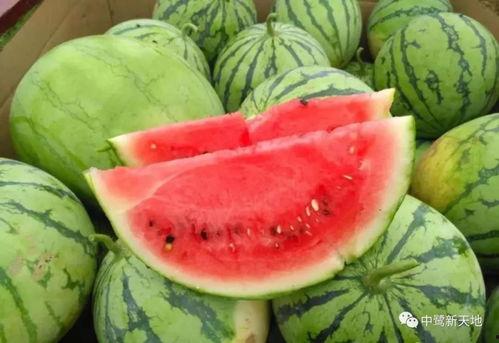 长春今日吃瓜事件最新消息,揭秘背后真相与网络热议