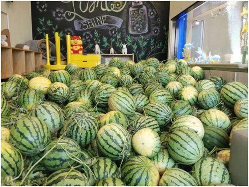 长春今日吃瓜事件最新消息,揭秘背后真相与网络热议