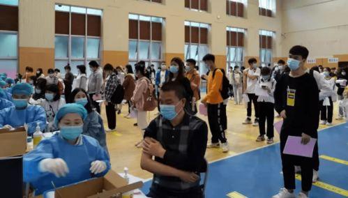 河北今日吃瓜最新消息视频,揭秘今日热点事件视频回顾