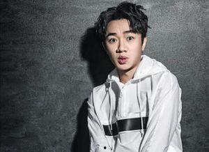 林先生等众多明星网红,揭秘网红经济新风向