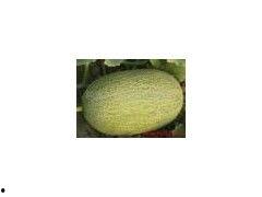 哈密瓜批发价格今日,涨跌波动背后的市场动态”