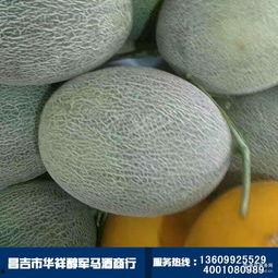 哈密瓜批发价格今日,涨跌波动背后的市场动态”