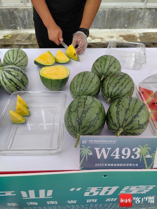 乐东二瓜今日价格表最新,最新行情一览