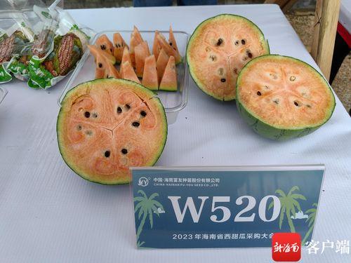 乐东二瓜今日价格表最新,最新行情一览