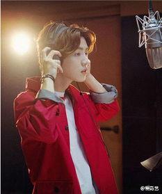 撩过明星网红有哪些,揭秘我与明星网红的浪漫邂逅