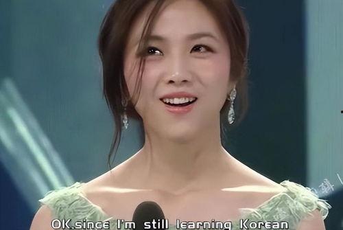 明星网红的气质怎么形容,揭秘明星网红的魅力风采