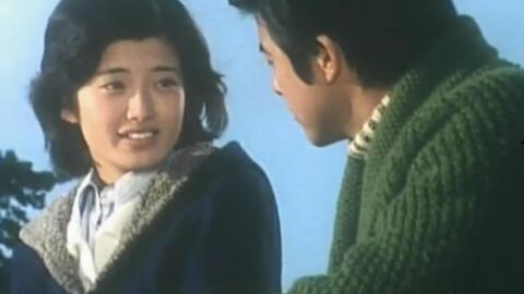 电视剧血疑,揭秘家族恩怨，探寻身世之谜