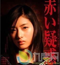 电视剧血疑,揭秘家族恩怨，探寻身世之谜