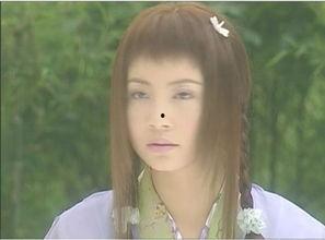 陶虹电视剧,电视剧中的温情岁月