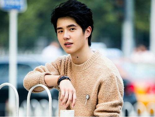 草原明星网红有哪些名字,揭秘那些闪耀的名字