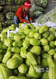 今日佛手瓜收购价格,今日市场行情一览”