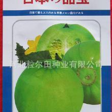 东明今日西 瓜批发价格